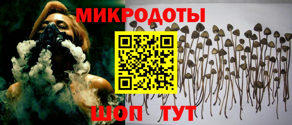 Галлюциногенные грибы ЛСД Партизанск